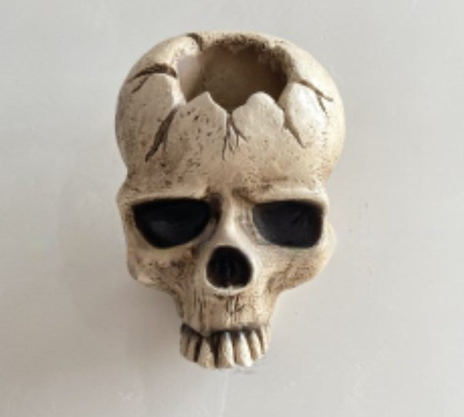Skull Wall Candle Holder